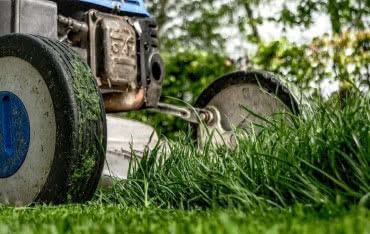 Jakie maszyny ogrodowe wybrać do prac pielęgnacyjnych?