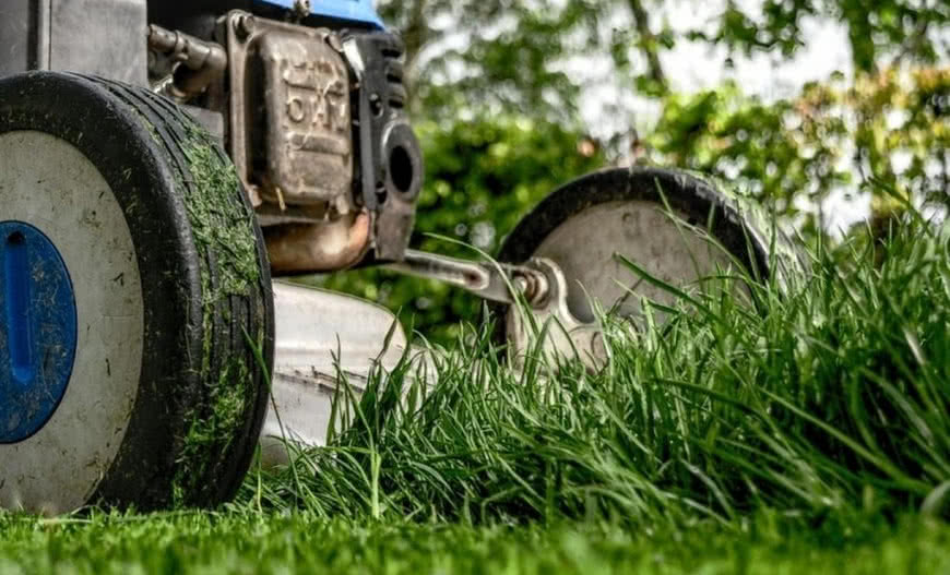 Jakie maszyny ogrodowe wybrać do prac pielęgnacyjnych?