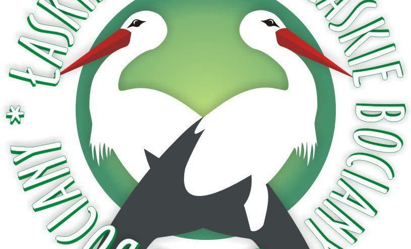 ATLAS wspiera bociany i nadaje im imiona