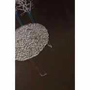 Parkiet Jesion Mocca