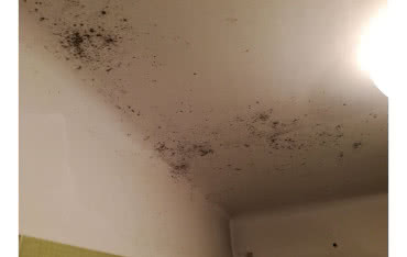 Brak wentylacji w łazience i powracający problem pleśni