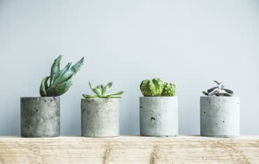 Jak samodzielnie zrobić betonowe dekoracje?