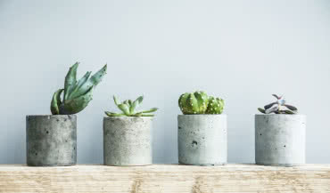 Jak samodzielnie zrobić betonowe dekoracje?