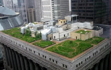 10-lecie zielonego dachu ratusza miejskiego w Chicago