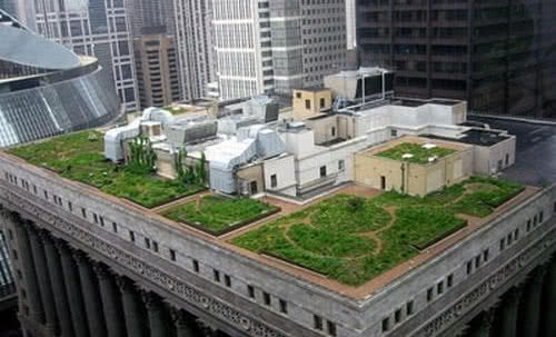 10-lecie zielonego dachu ratusza miejskiego w Chicago