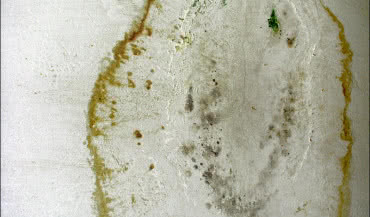 Jak usunąć zagrzybienie?