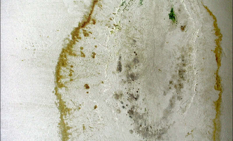 Jak usunąć zagrzybienie?