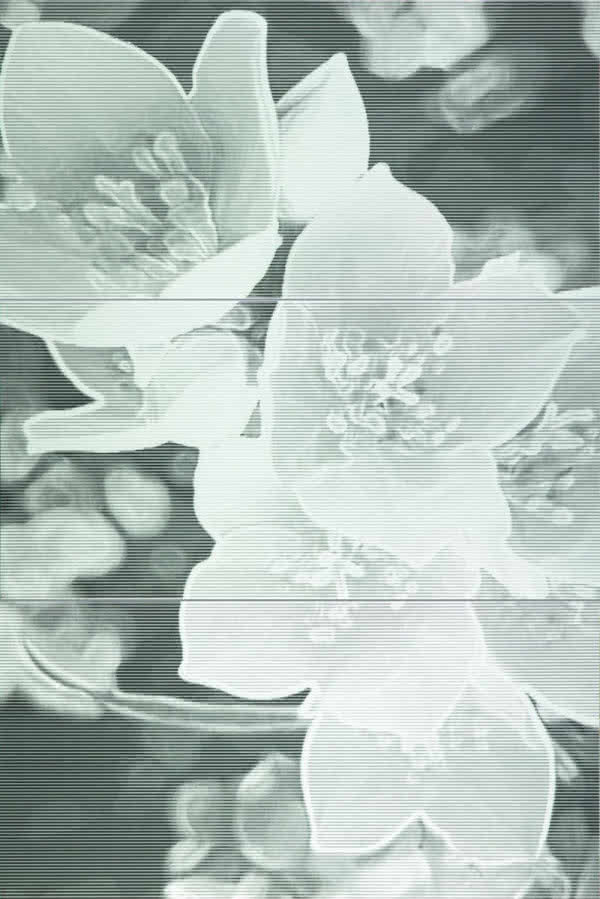 Coll - kolekcja płytek ceramicznych Tubądzin