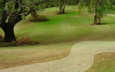 Obwodowy system ostrzegania - niewidzialna ochrona domu