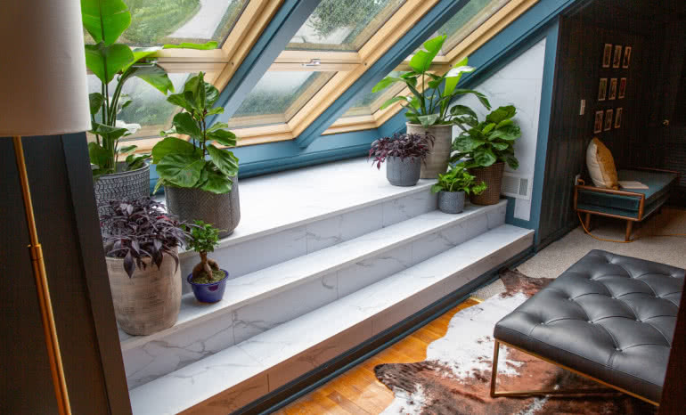 Jak urządzić ogród w domu? Zielona oaza na poddaszu krok po kroku