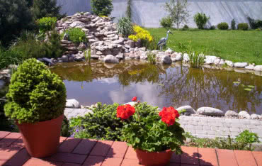 Dlaczego warto mieć oczko wodne?