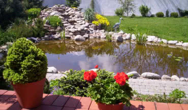 Dlaczego warto mieć oczko wodne?