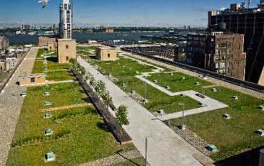 Największy zielony dach w Nowym Jorku