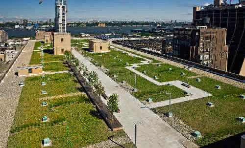 Największy zielony dach w Nowym Jorku