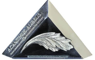 Armatura Kraków wyróżniona nagrodą Acanthus Aureus