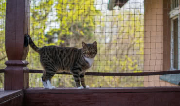 Zabezpieczenie ogrodu i balkonu - poznaj sprawdzone metody