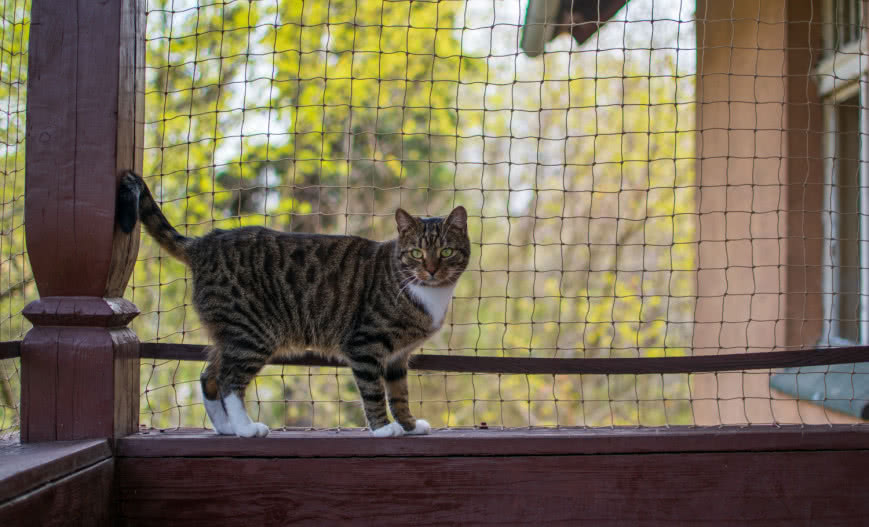 Zabezpieczenie ogrodu i balkonu - poznaj sprawdzone metody