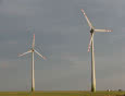 Program Natura 2000 wstrzymuje inwestycje w elektrownie wiatrowe