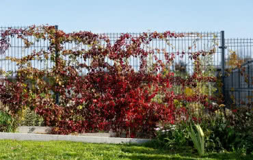 Ogrodzenie panelowe - rodzaje, zalety i montaż krok po kroku