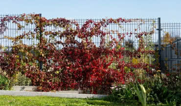 Ogrodzenie panelowe - rodzaje, zalety i montaż krok po kroku