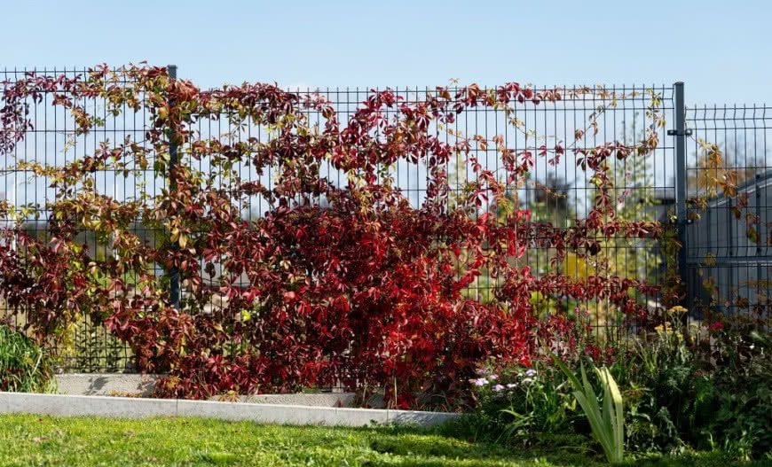 Ogrodzenie panelowe - rodzaje, zalety i montaż krok po kroku