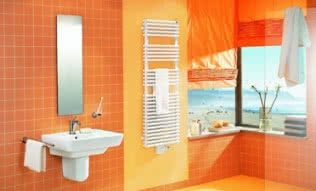 Grzejniki dwuwarstwowe Zehnder