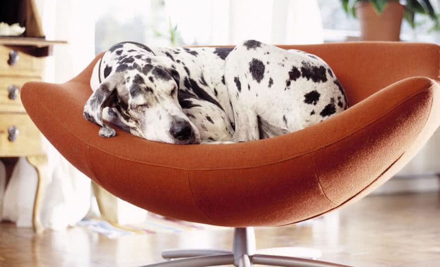 Czy nawiewnik okienny może tłumić hałas? Insolio ND od Brevis w praktyce