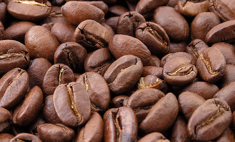 Kofeina może być wskaźnikiem zanieczyszczenia wody