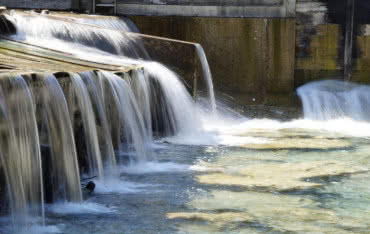 Ekohydrologia sposobem na zanieczyszczenia fosforanowe wody