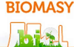 Forum spalania biomasy