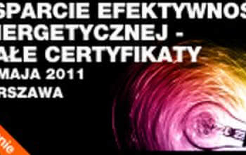 Wsparcie efektywności energetycznej-białe certyfikaty. Kierunki i zasady funkcjonowania systemu