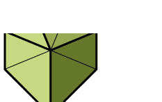 "Zielony projekt 2010" - Rosja