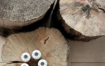 Zakończenie kampanii "Każdy stopień ma znaczenie"