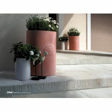 Płyta Venetia Libet Impressio