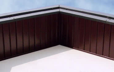 Boryszew prezentuje podsufitkę dachową dwupanelową