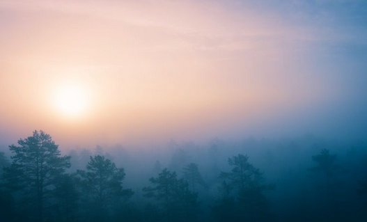 Czyste powietrze z Metal-Fach – w trosce o zdrowie, klimat i środowisko!