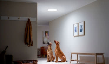 Świetliki tunelowe Velux - naturalne światło w każdym pomieszczeniu