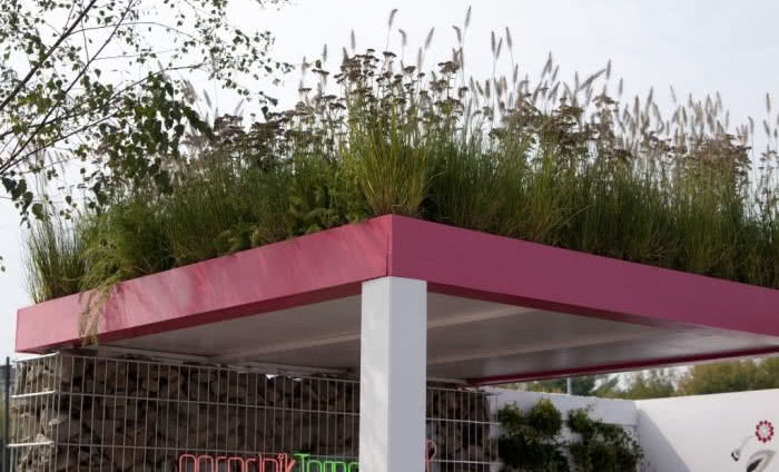 Śnieżka partnerem "Ogrodu zmysłów"