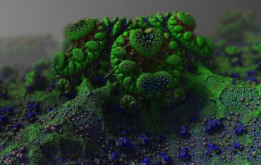 Przyczyny i skutki przebywania w otoczeniu grzybów oraz pleśni 