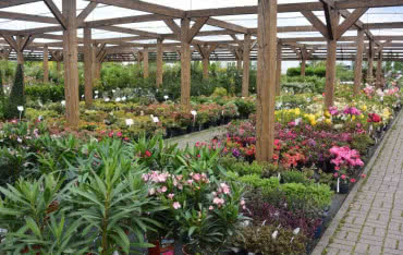 Na czym polega sukces w branży ogrodniczej?