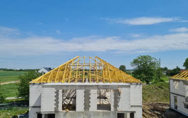 Najważniejsze właściwości drewna