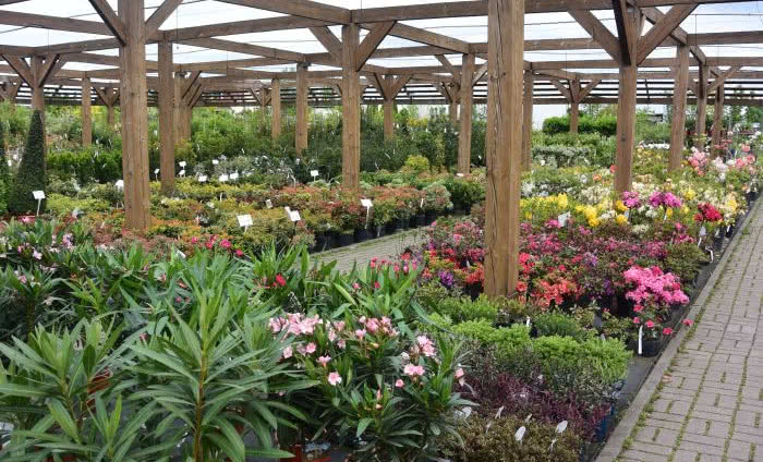 Na czym polega sukces w branży ogrodniczej?