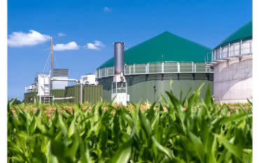 Czy biogazownie są opłacalne?