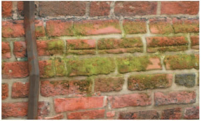 StoPrim Fungal C - wielofunkcyjna ochrona elewacji w wykonaniu Sto-ispo