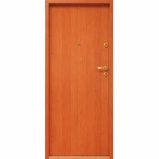 Skrzydło wejściowe CERBER II