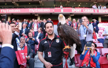 Stadion przyszłości z technologią Boscha