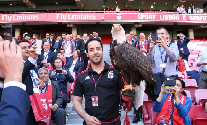 Stadion przyszłości z technologią Boscha