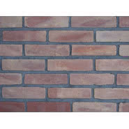 Cegła jabłkowa (kl. 15)