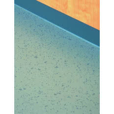 Lakier StoPox WL 100