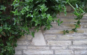 Współczesna architektura a ekologiczne rozwiązania